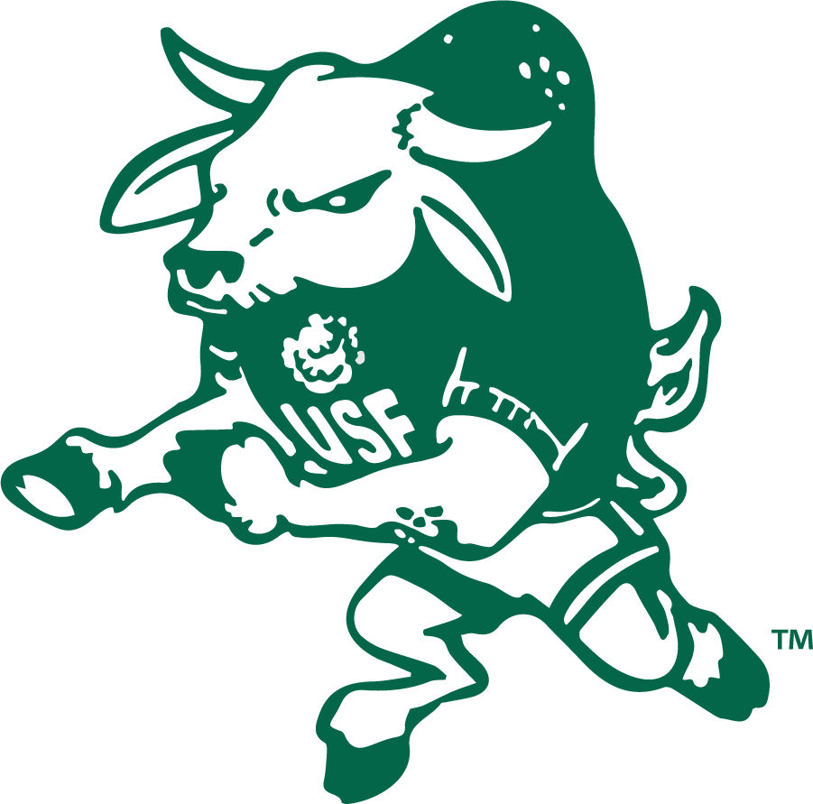 South Florida Bulls 1974-1987 Secondary Logo diy iron on heat transfer